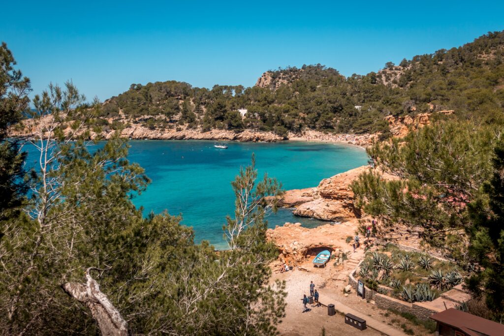 Vue panoramique sur les eaux turquoise et les criques rocheuses des calanques de Cassis, entourées de pins