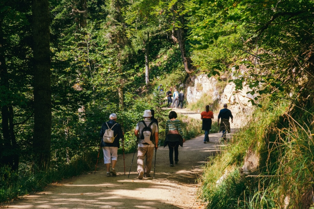 Groupe de randonneurs marchant dans une forêt luxuriante, exemple d’activité d’éco-tourisme durable