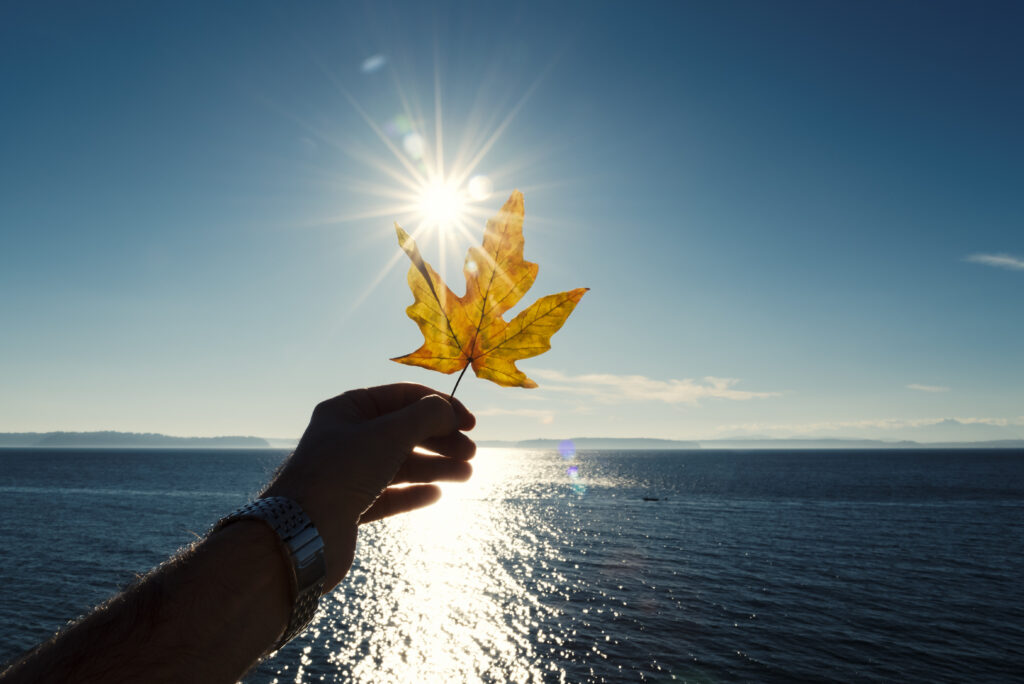Où partir en novembre au soleil pas cher — 12 destinations (feuille d’automne devant le soleil, bord de mer)