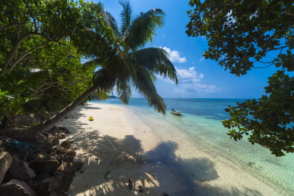 Seychelles carte — que faire aux Seychelles & quand partir : plage de sable blanc, palmiers et lagon turquoise