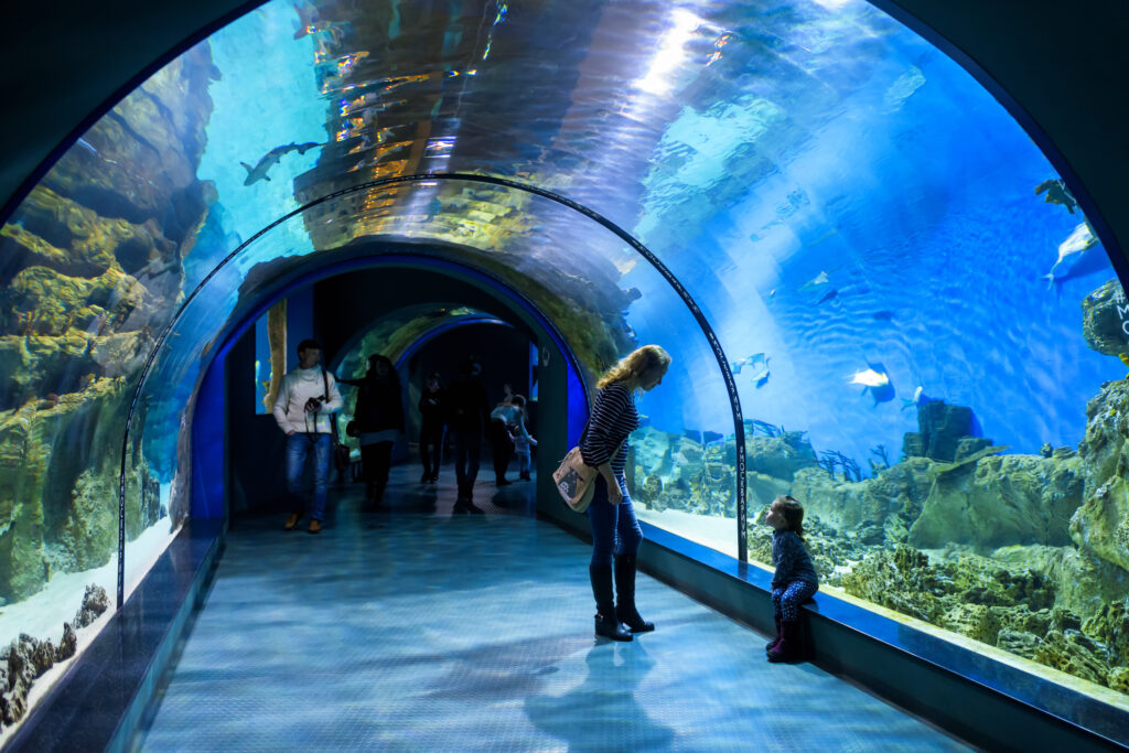 Aquarium Barcelone — tunnel sous-marin avec poissons et familles en visite